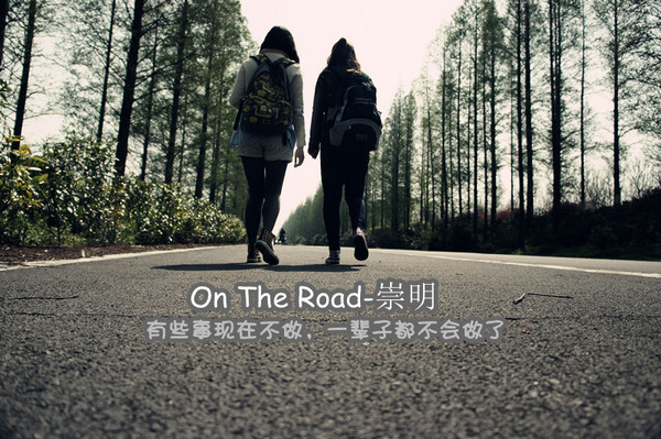 崇明岛旅游攻略图片 崇明岛旅游攻略图片