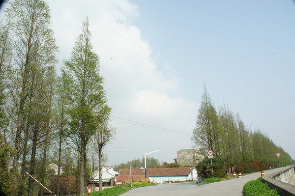 崇明岛景点图片 崇明岛景点图片