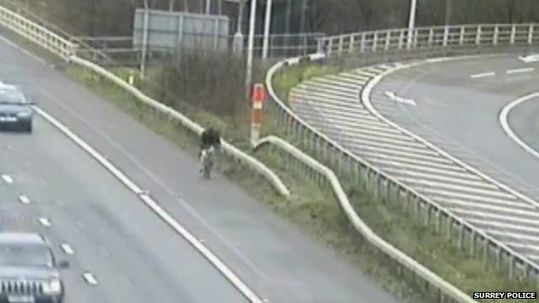 男子因导航骑车上高速。英国广播公司