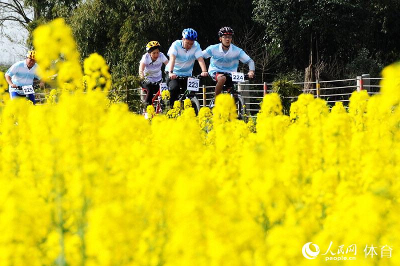 崇州的油菜花美景令人陶醉。
