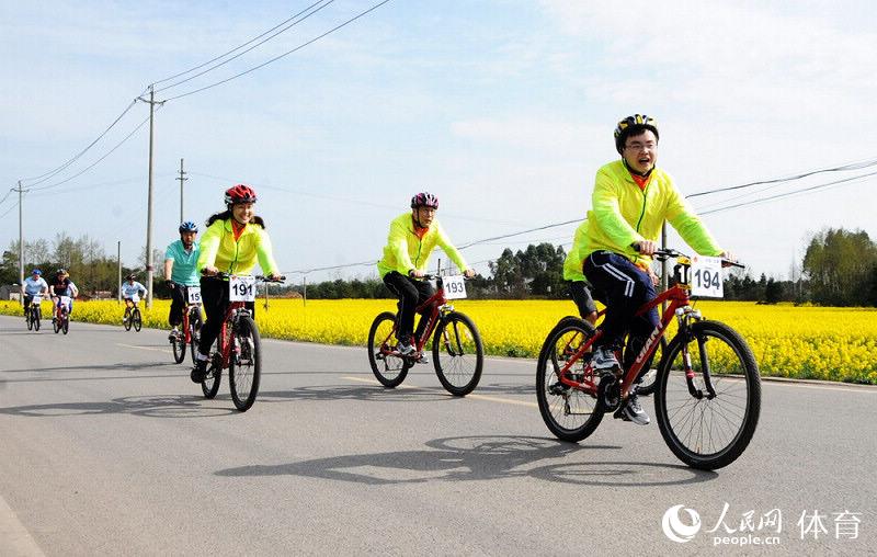 崇州的油菜花美景令人陶醉。